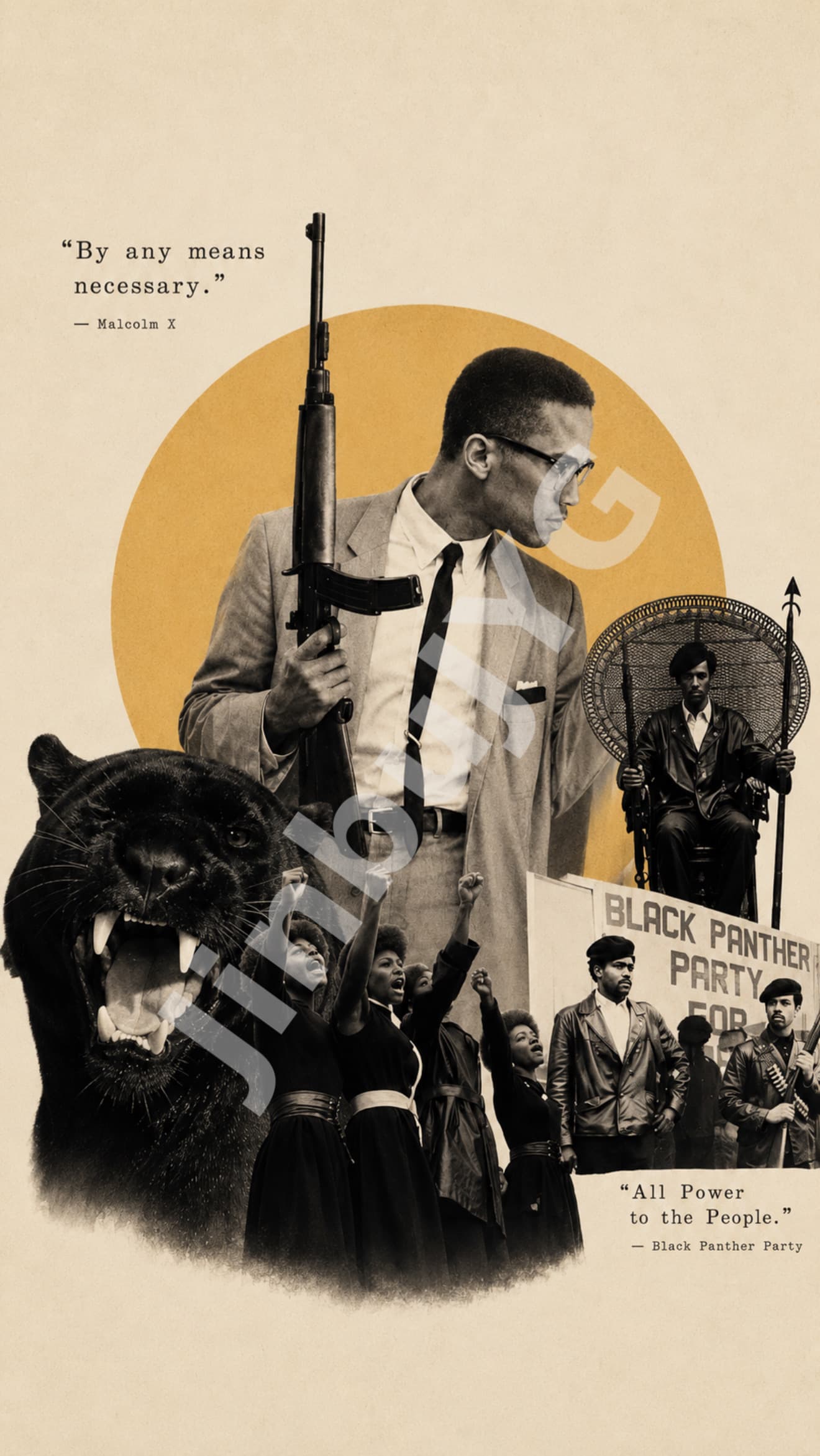 Black Panthers